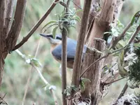 DSCF6417.webp