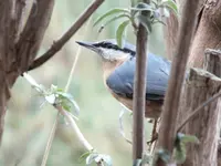 DSCF6419.webp