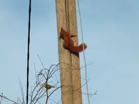 DSCF6388.webp