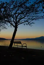 77-0015.webp