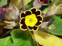 k-DSCI3861.webp