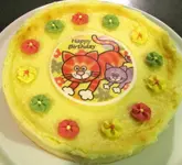 Copy of IMG_6503v.webp