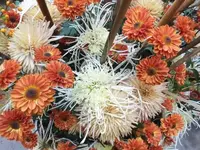 Bilda029.webp