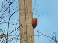 DSCF6383.webp