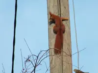 DSCF6390.webp