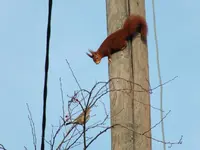 DSCF6393.webp