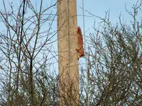 DSCF6394.webp