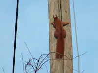 DSCF6391.webp
