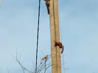 DSCF6396.webp
