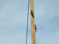 DSCF6398.webp