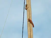 DSCF6399.webp