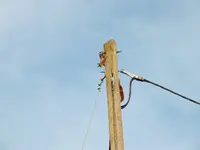 DSCF6401.webp