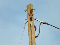 DSCF6402.webp