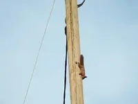 DSCF6403.webp