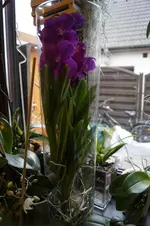 _DSC9563.webp