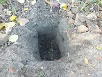 DSCF6493.webp
