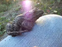 DSCF6500.webp