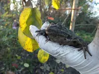 DSCF6502.webp