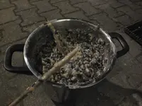 DSCF6504.webp