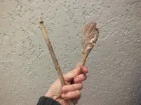 DSCF6505.webp