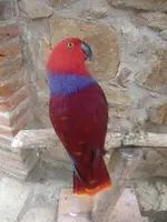 CIMG2178.webp