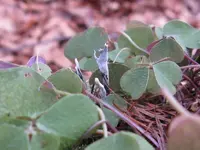 008_800x600.webp