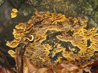 047_800x600.webp