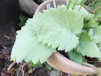 DSCF6301.webp