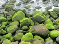 IMG_5763v.webp