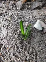 DSCF6250.webp