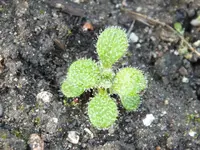 DSCF6308.webp