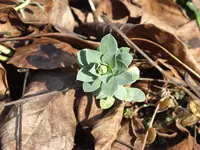 DSCF6341.webp