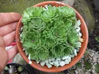 DSCF6224.webp
