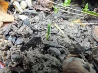 DSCF6216.webp