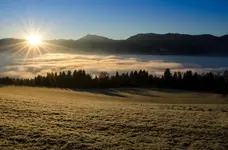 77-0002.webp