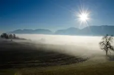 7777-0125.webp