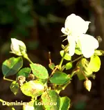 _MG_9920.webp