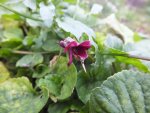 DSCF6171.JPG
