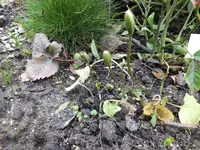 DSCF6173.webp