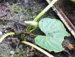 DSCF6191.JPG