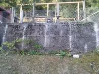 IMG_20150909_190447.webp