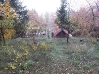 IMG_20151026_095931.jpg