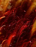 red (63).webp