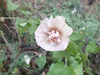 DSCF6264.webp