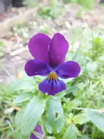 DSCF6194.webp