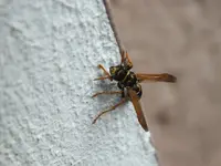 DSCF6422.webp