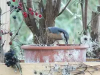DSCF6441.webp