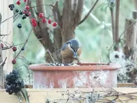 DSCF6440.webp