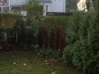 Hecke.jpg