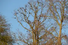 DSC_9367.webp